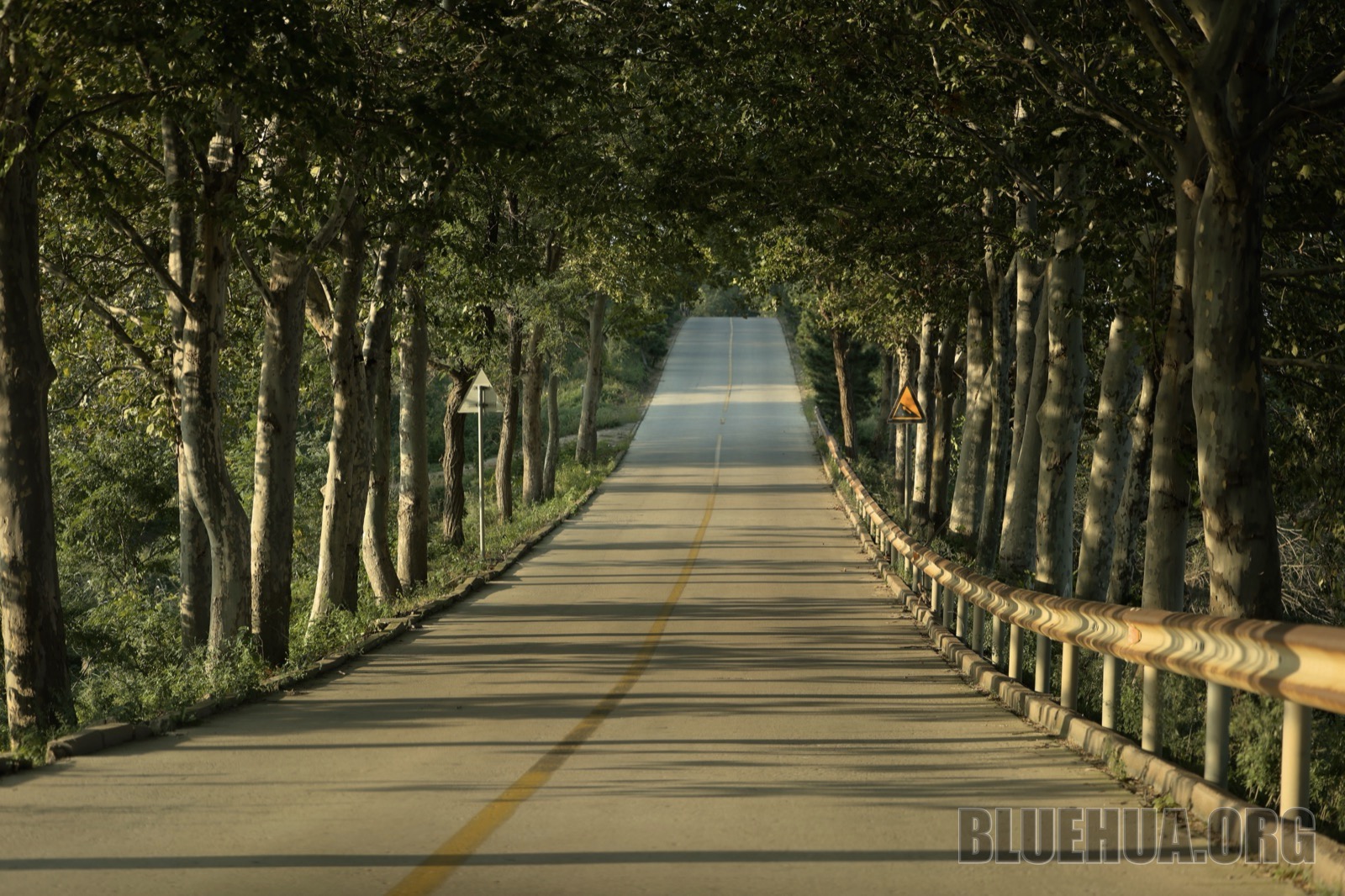 路