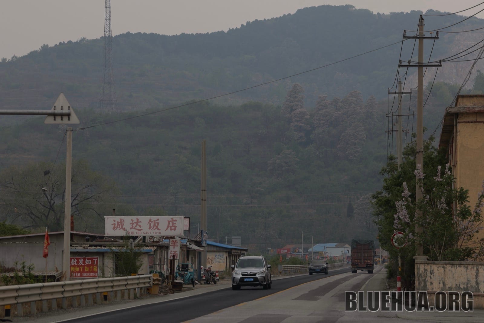 福桃路