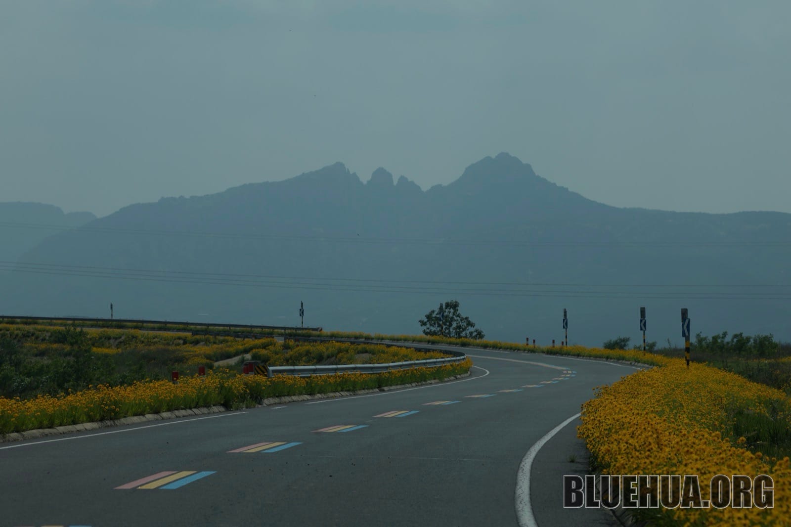 艾山路